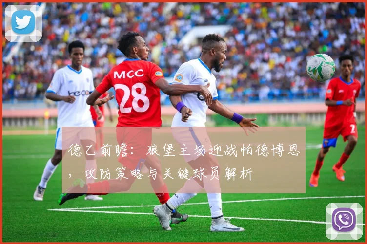 德乙前瞻:狼堡主场迎战帕德博恩,攻防策略与关键球员解析