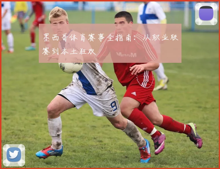 墨西哥体育赛事全指南:从职业联赛到本土狂欢